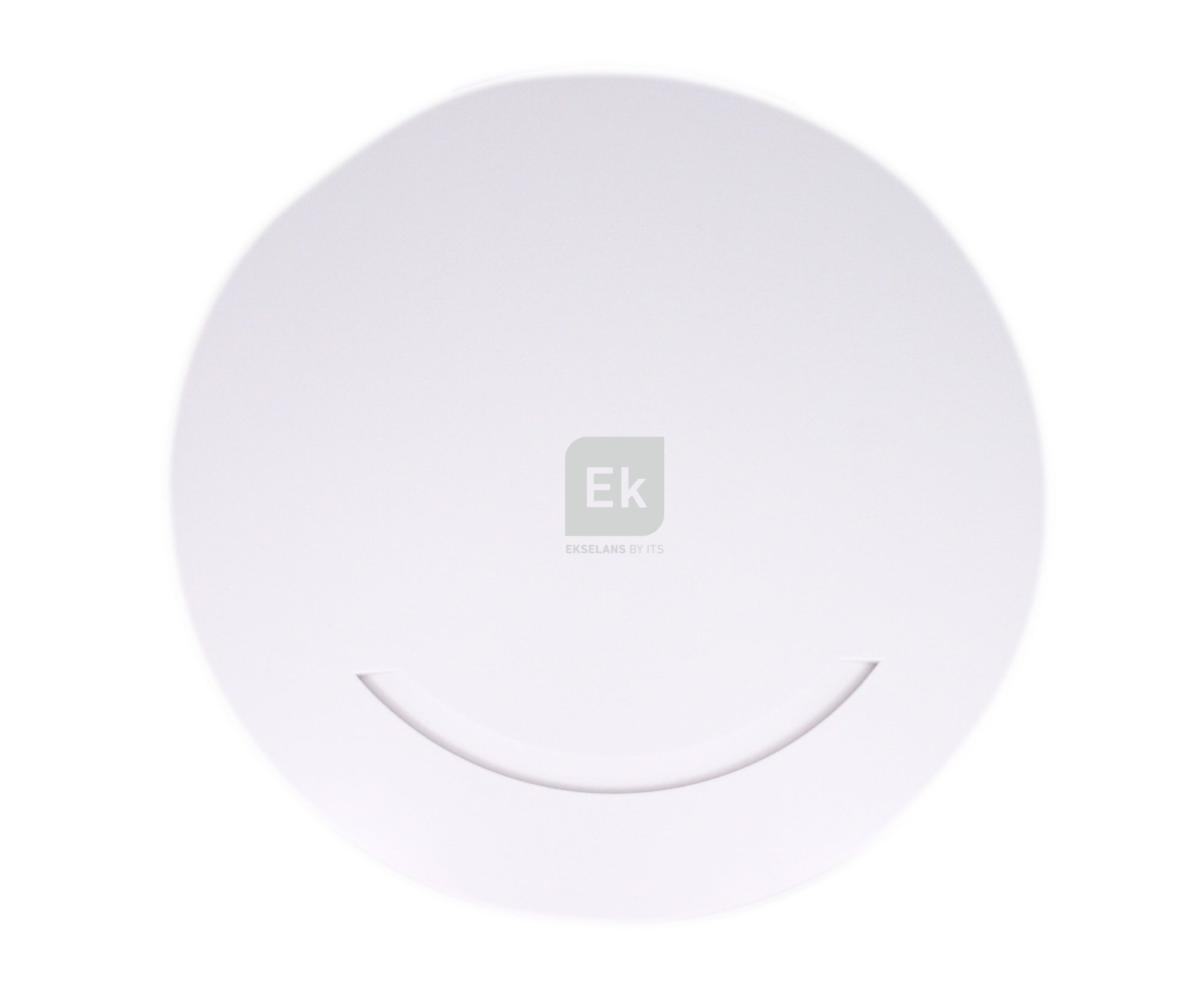 AP 300 Wireless Access Point